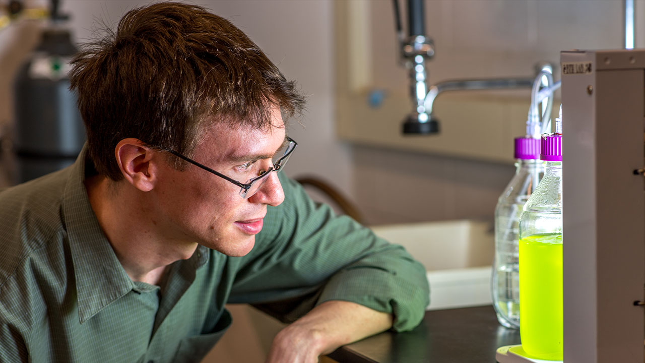 Brendan Higgins, assistant professor of biosystems engineering, examines Chlorella algae in his lab.